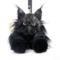 Maine Coon Cat Backpack by Chongker, image 6 of 15
