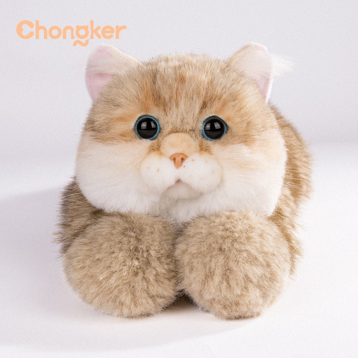 Golden British Shorthair Cat Plush by Chongker, image 3 of 12