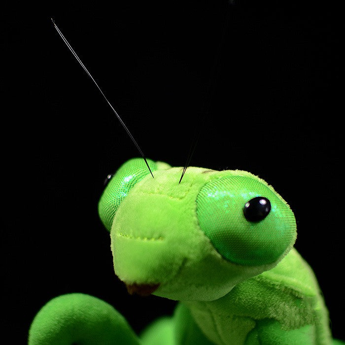 Praying Mantis Plush — 28 cm