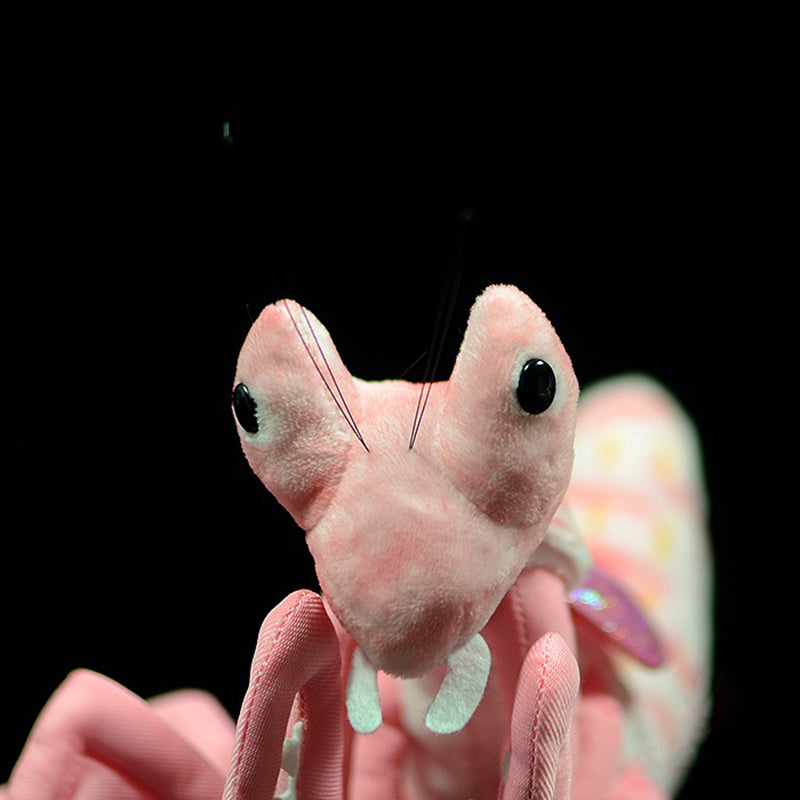 Praying Mantis Plush — 28 cm