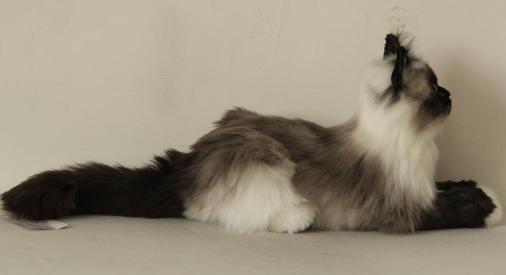 Longhair Siamese Weighted Cat Plush – Handmade Plush by Chongker, image 6 of 6