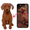 Custom Pet Plush from Photo – Memorial Keepsake for Dogs & Cats by Chongker, image 1 of 8