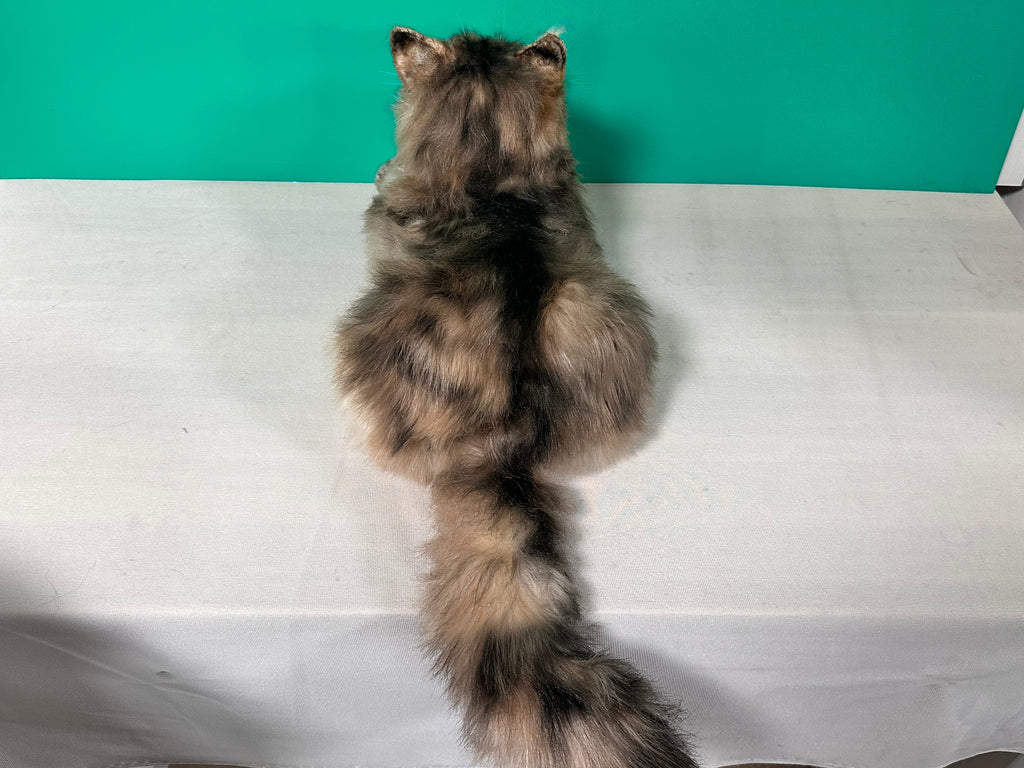 Norwegian Forest Cat Plush – Handmade Plush by Chongker, image 5 of 6