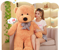 Giant Colorful Teddy Bear