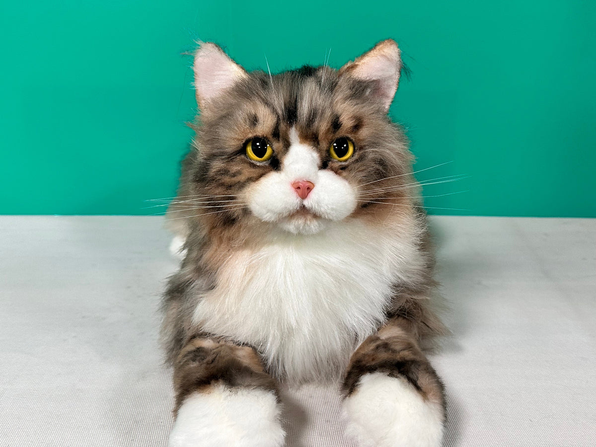 Norwegian Forest Cat Plush – Handmade Plush by Chongker, image 2 of 6