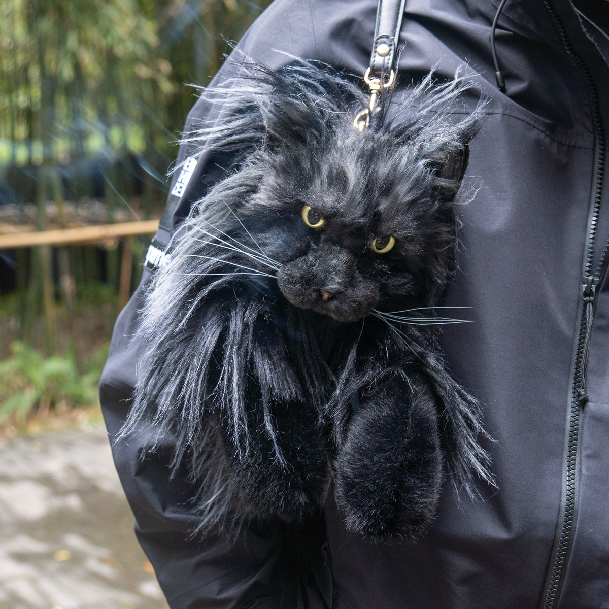 Maine Coon Cat Backpack by Chongker, image 1 of 15