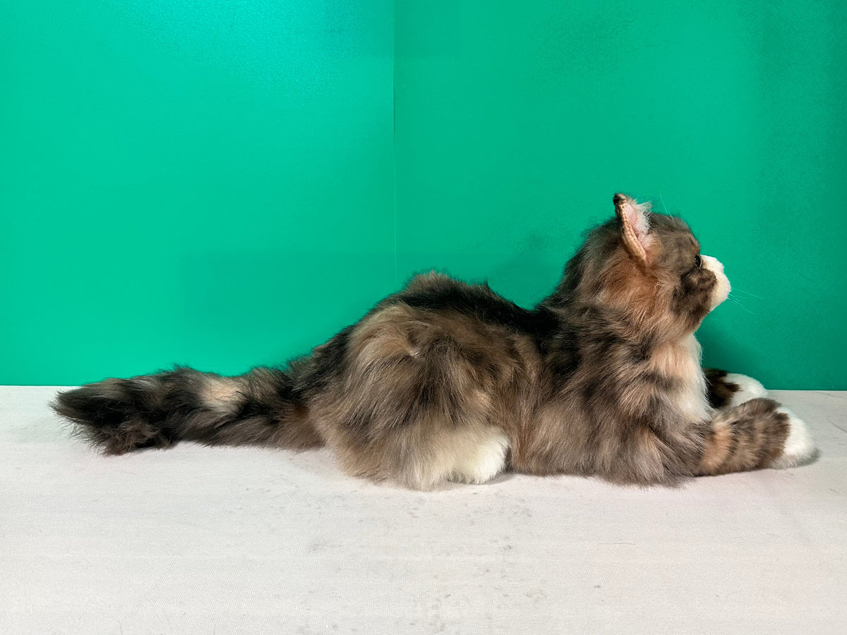 Norwegian Forest Cat Plush – Handmade Plush by Chongker, image 3 of 6