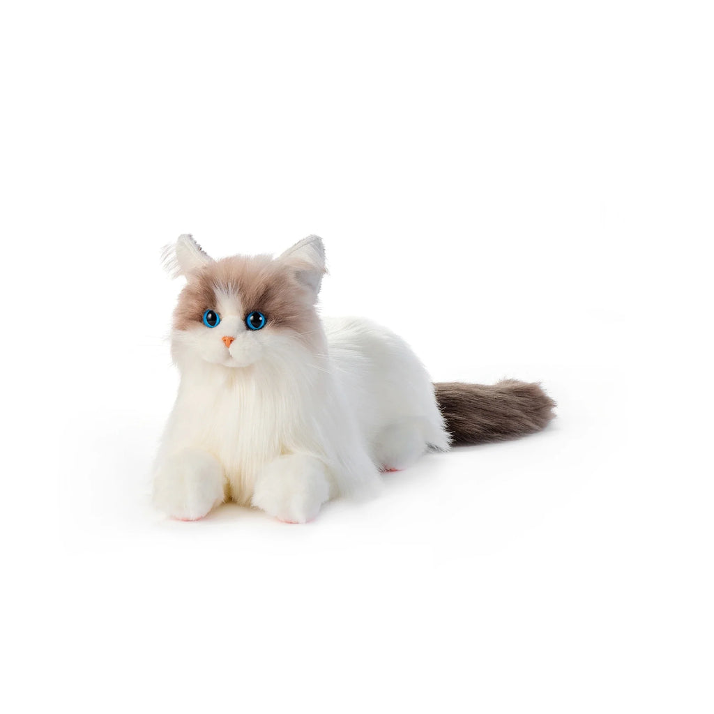 3 lb Ragdoll Weighted Plush – Weighted Cat Plush by Chongker, image 7 of 9
