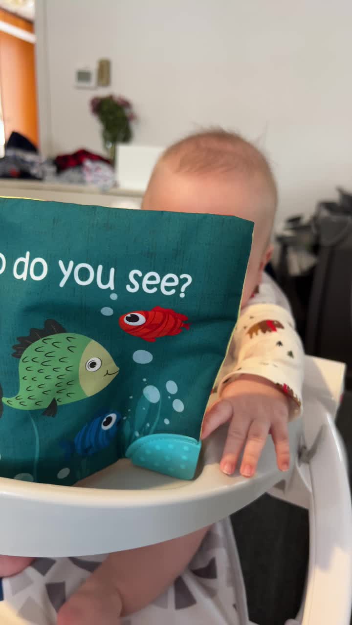 Ocean Adventure Crinkle Book & Teether