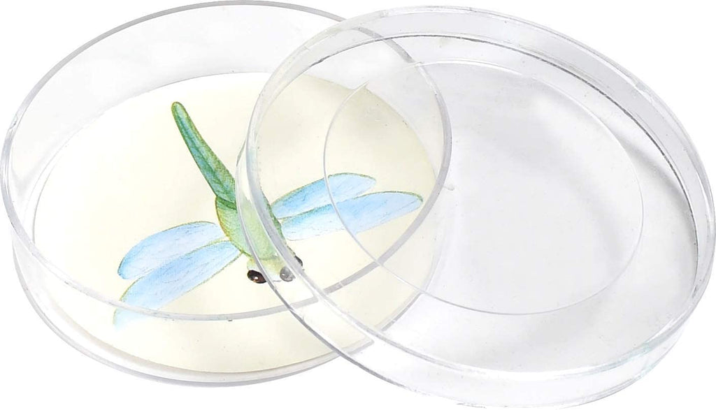 Safe STEM Bug Catching Kit