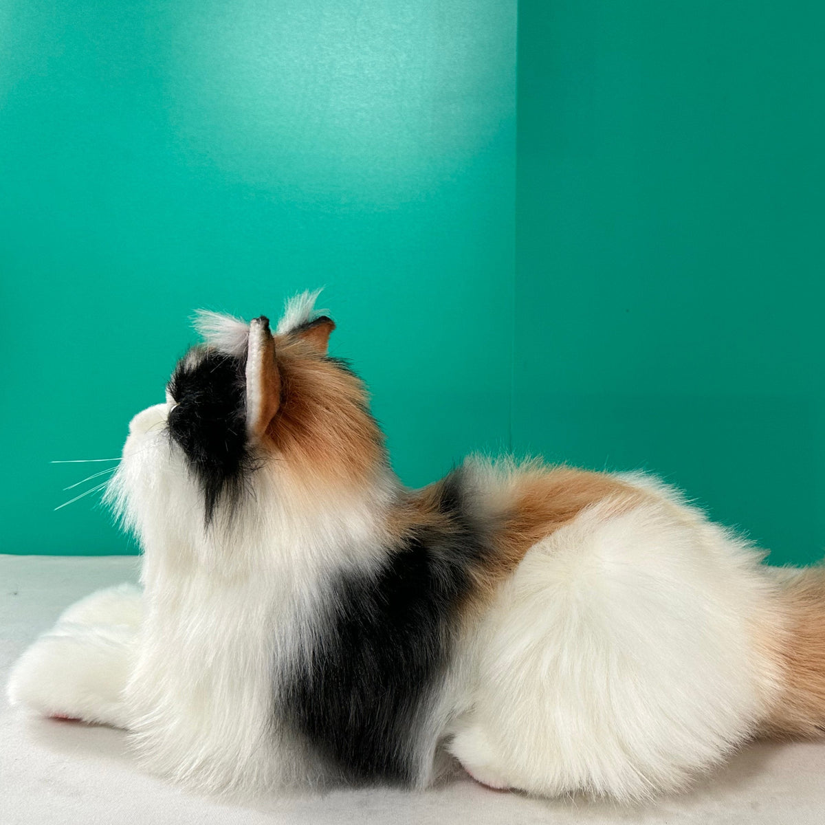 Calico Cat Plush – Handmade Plush by Chongker, image 5 of 6