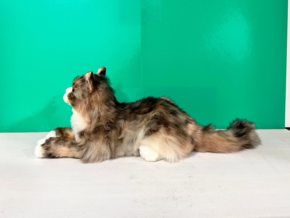 Norwegian Forest Cat Plush – Handmade Plush by Chongker, image 4 of 6