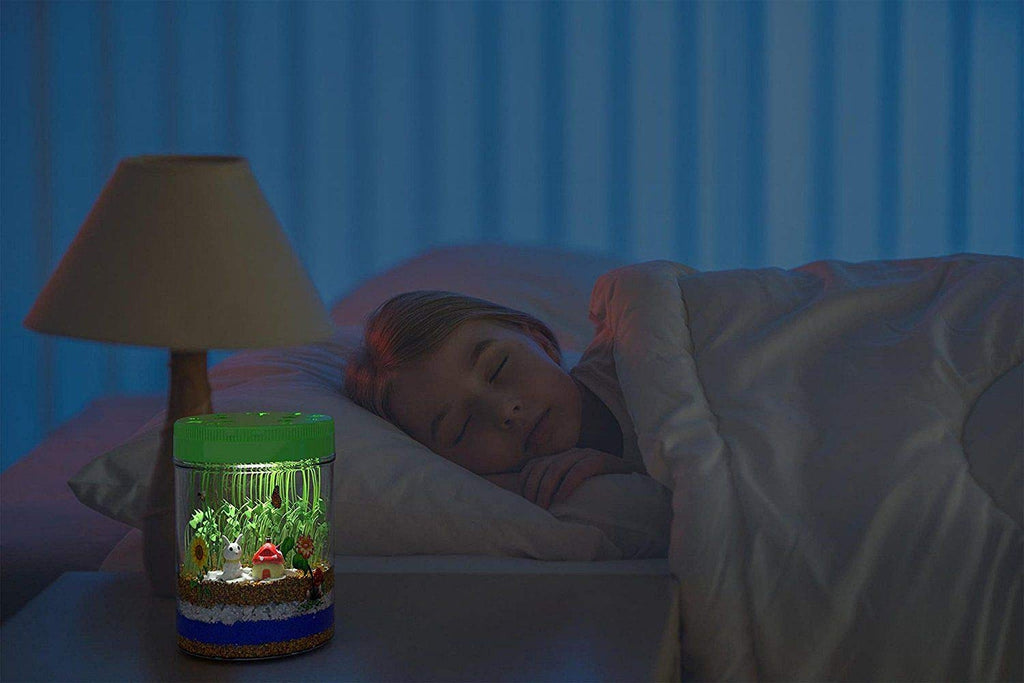 Light-Up Terrarium Science Kit with Seeds, Soil & LED Lid