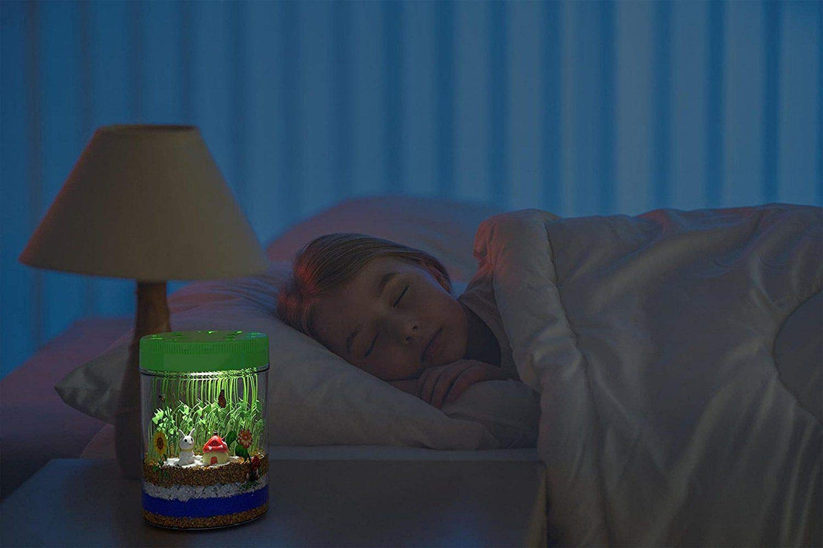 Light-Up Terrarium Science Kit with Seeds, Soil & LED Lid
