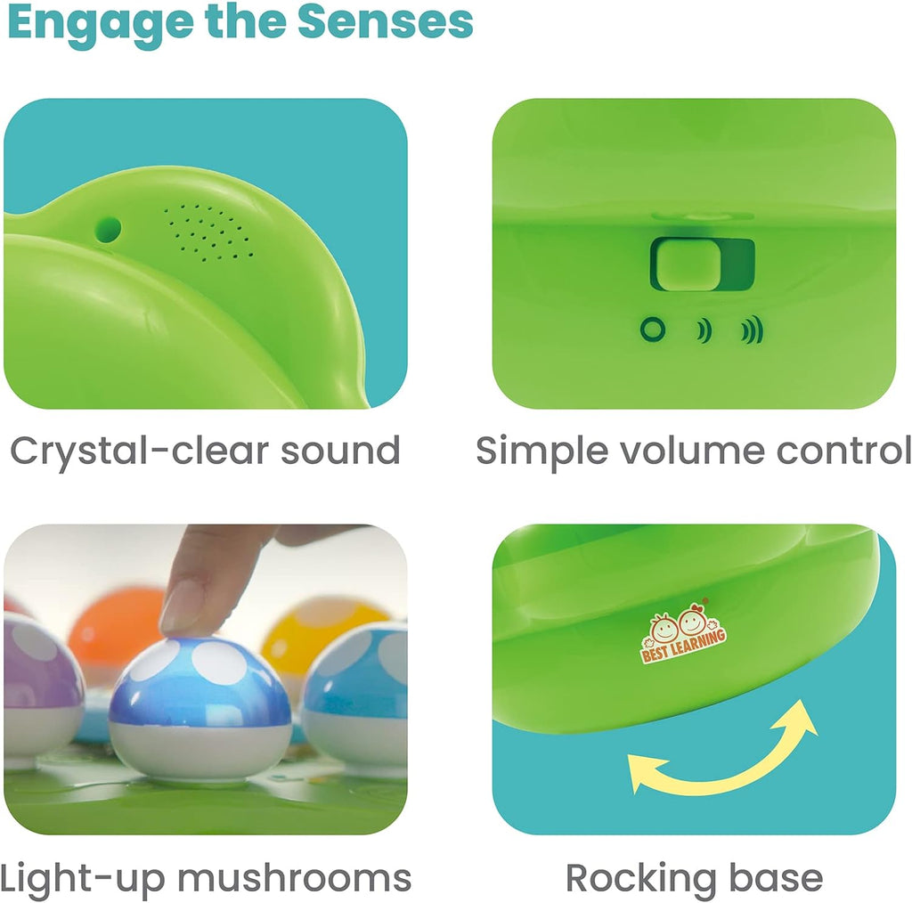 Interactive Light-Up Garden Learning Toy, Numbers, Colors & Music - product photo