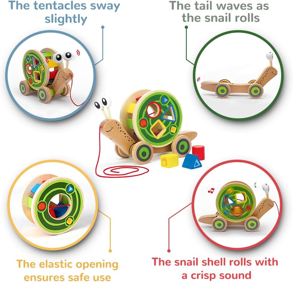 2-in-1 Wooden Snail Baby Push & Pull Walker