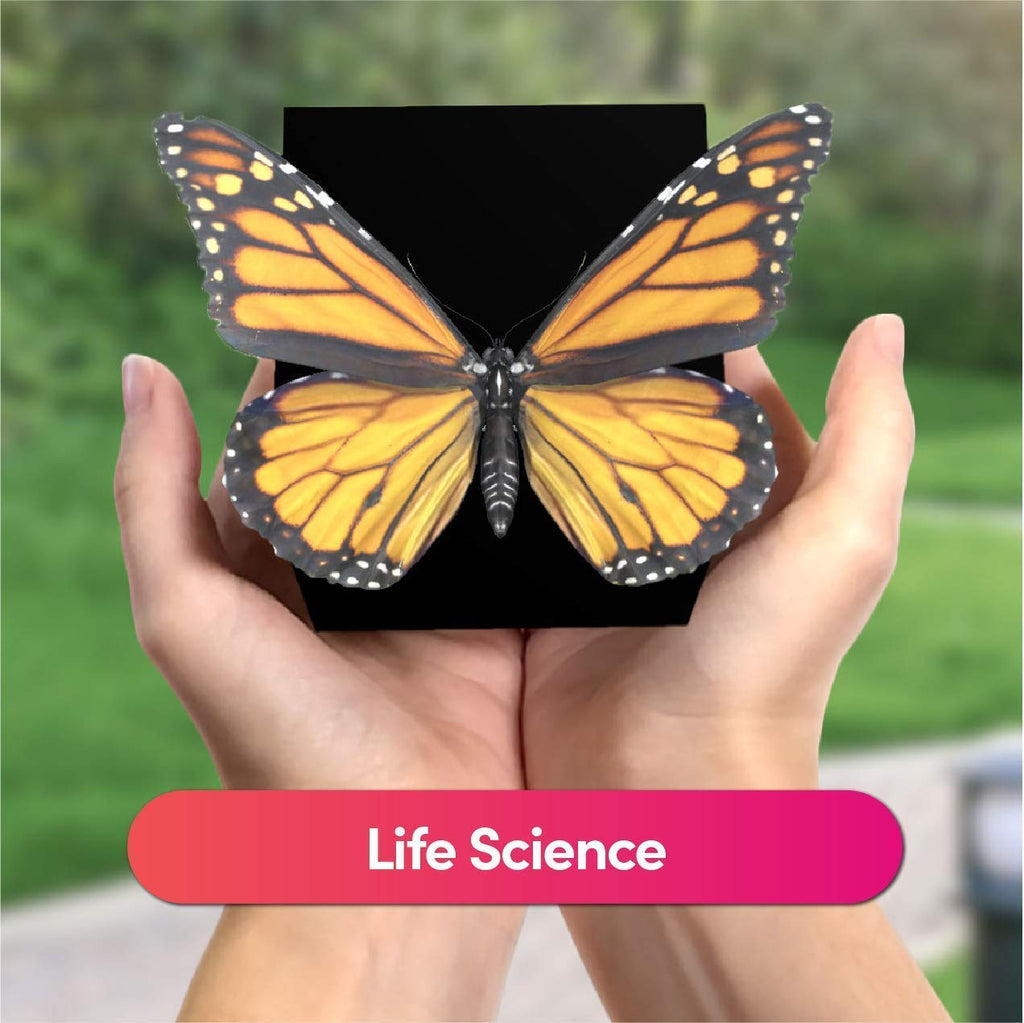 3D STEM Hologram Cube
