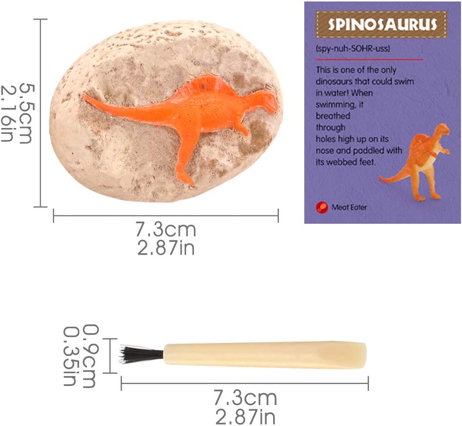 Dino Egg Excavation & Craft Kit