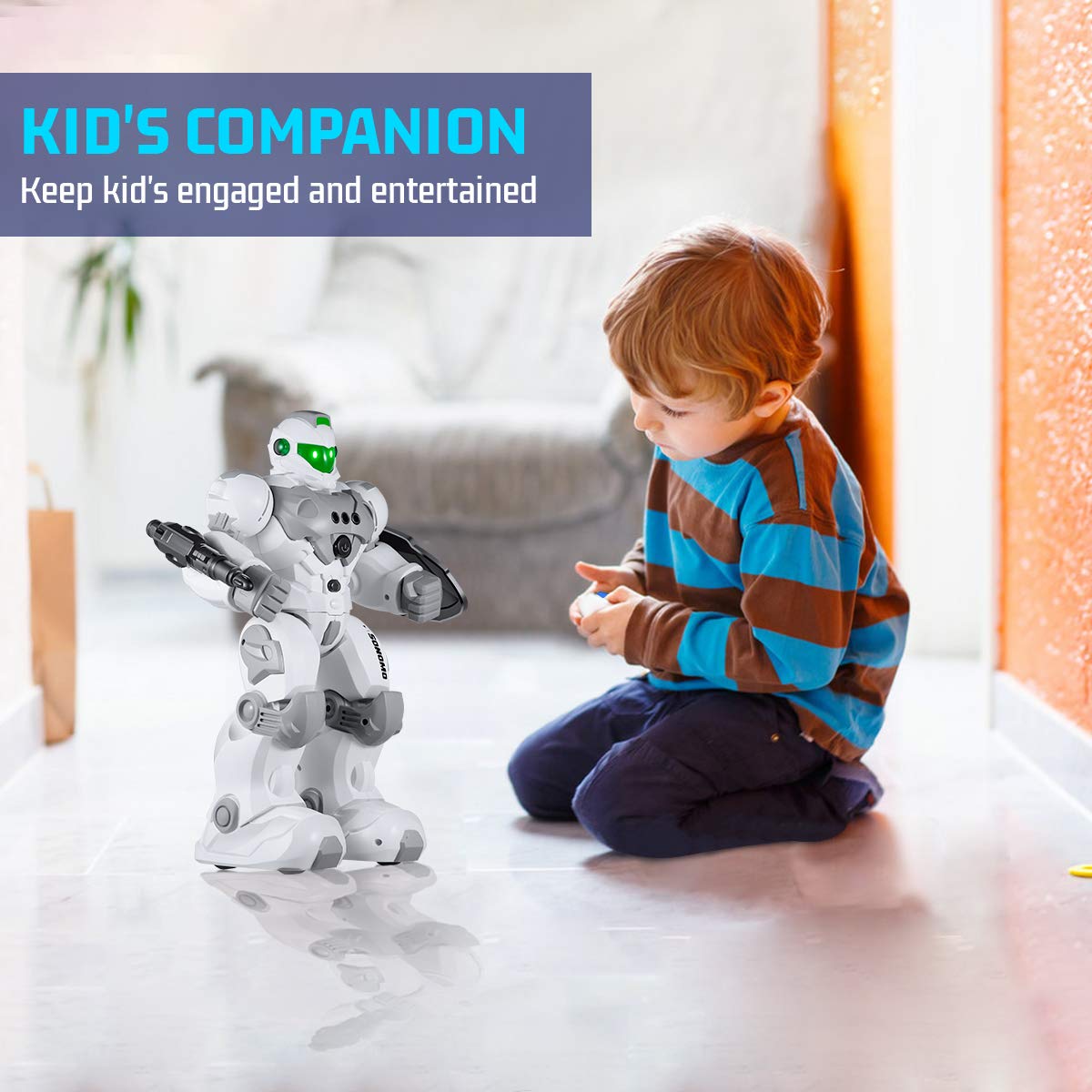 VAV Programmable RC Robot with Gesture Control & Remote