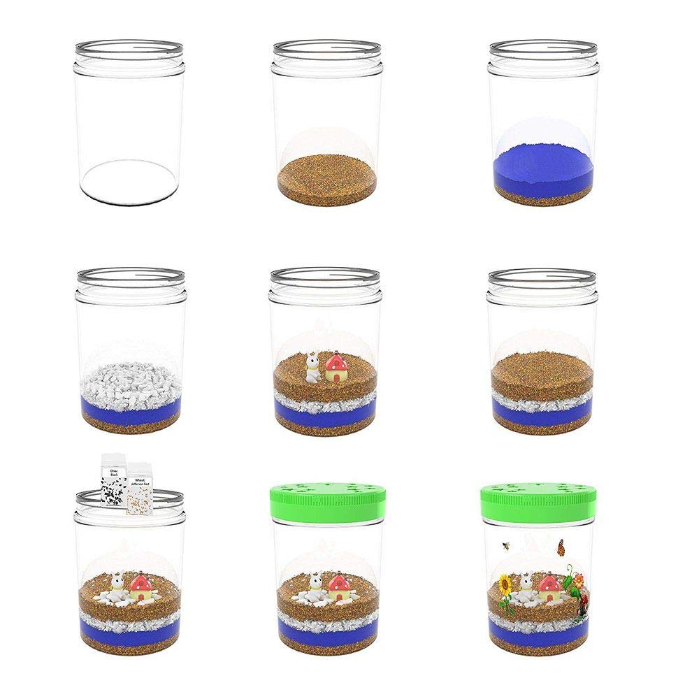 Light-Up Terrarium Science Kit with Seeds, Soil & LED Lid