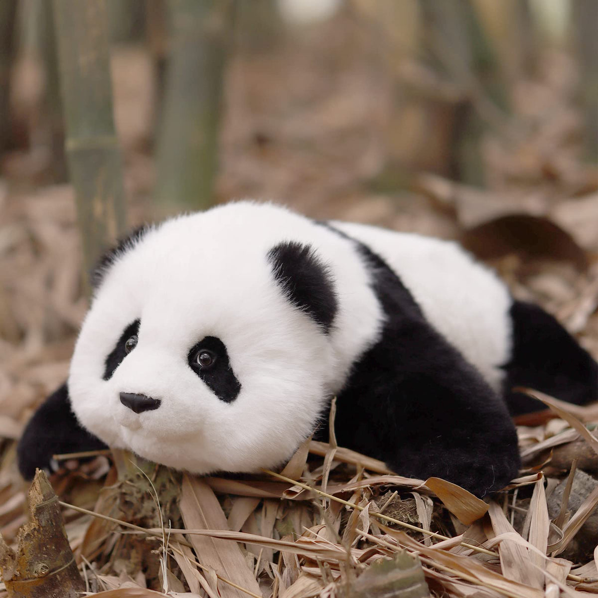 2.5lbs Red Panda ESSA Weighted Stuffed Animal – Snuggle Toy for Relaxation — product photo 14 of 16