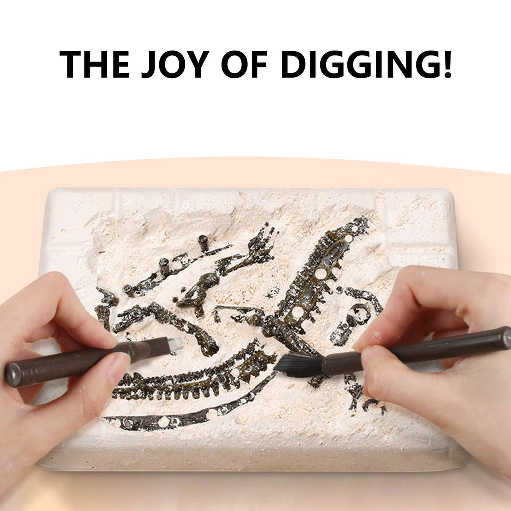 Premium STEM Fossil Digging Kit