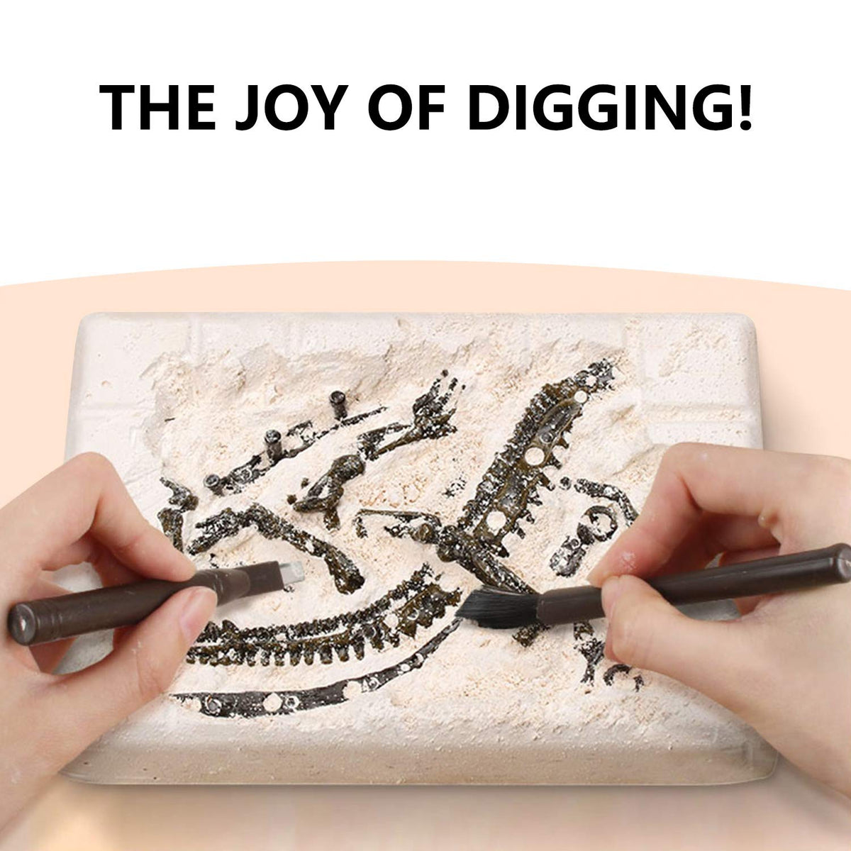 Premium STEM Fossil Digging Kit