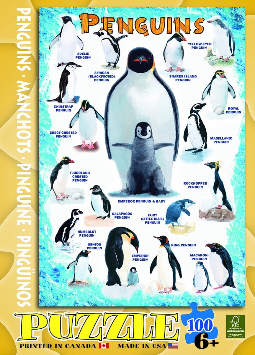 North Pole Penguins Puzzle