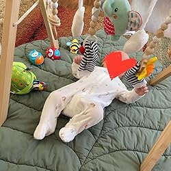 Garden Bug Baby Rattle Socks & Wrist Rattles Set