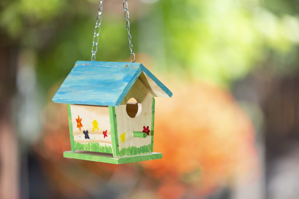 DIY Build a Wooden Birdhouse Educational Kit