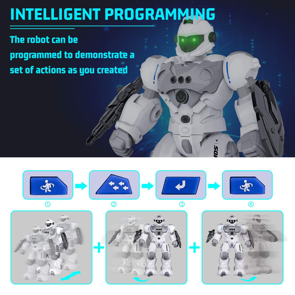 VAV Programmable RC Robot with Gesture Control & Remote