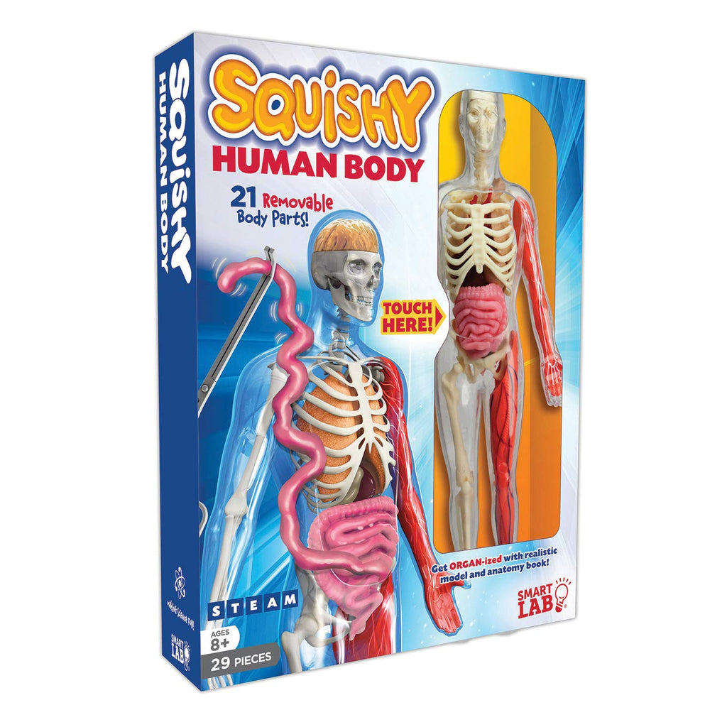 Jelly STEM Anatomy