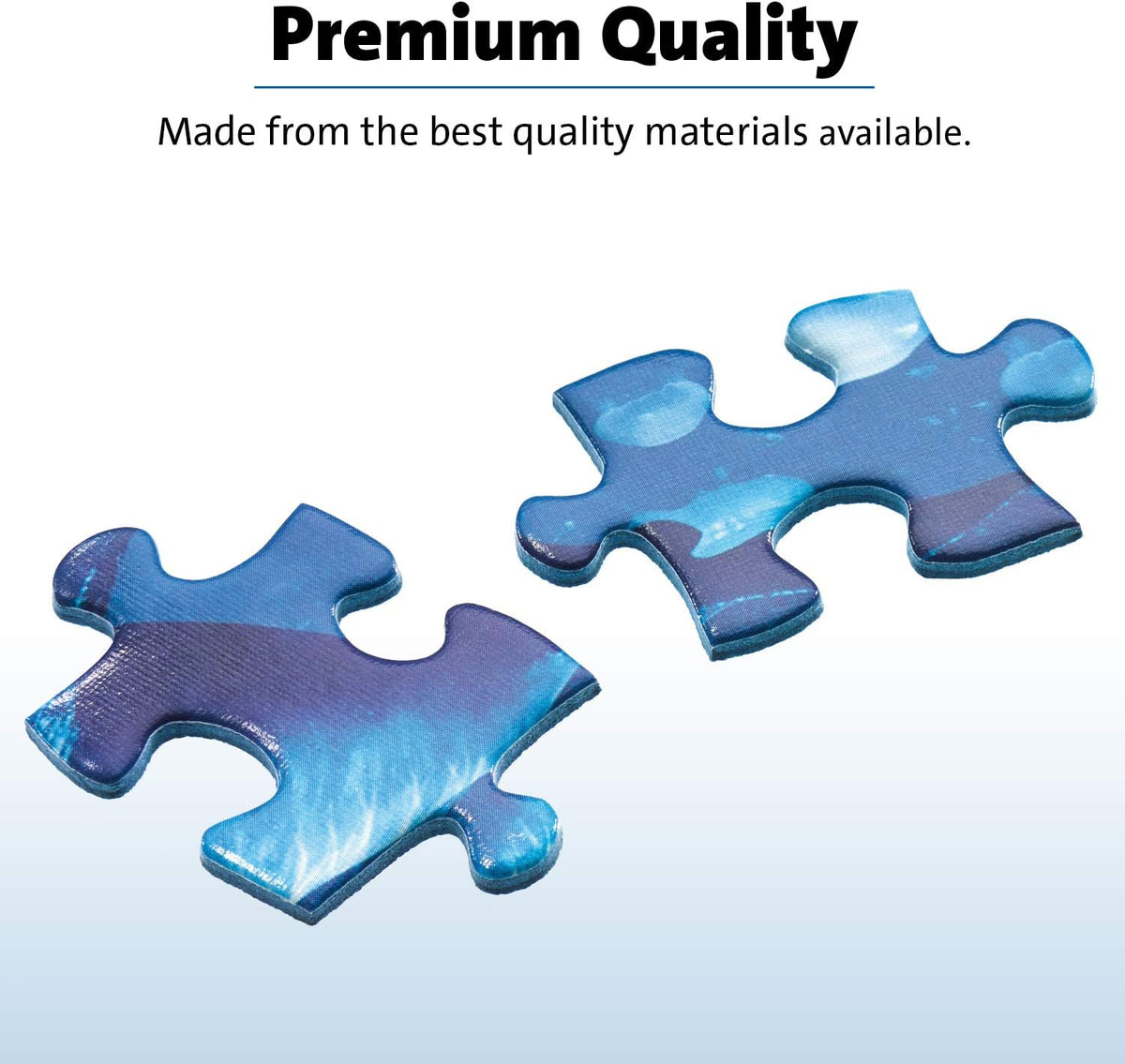 Icy Princesses Frosted Puzzle