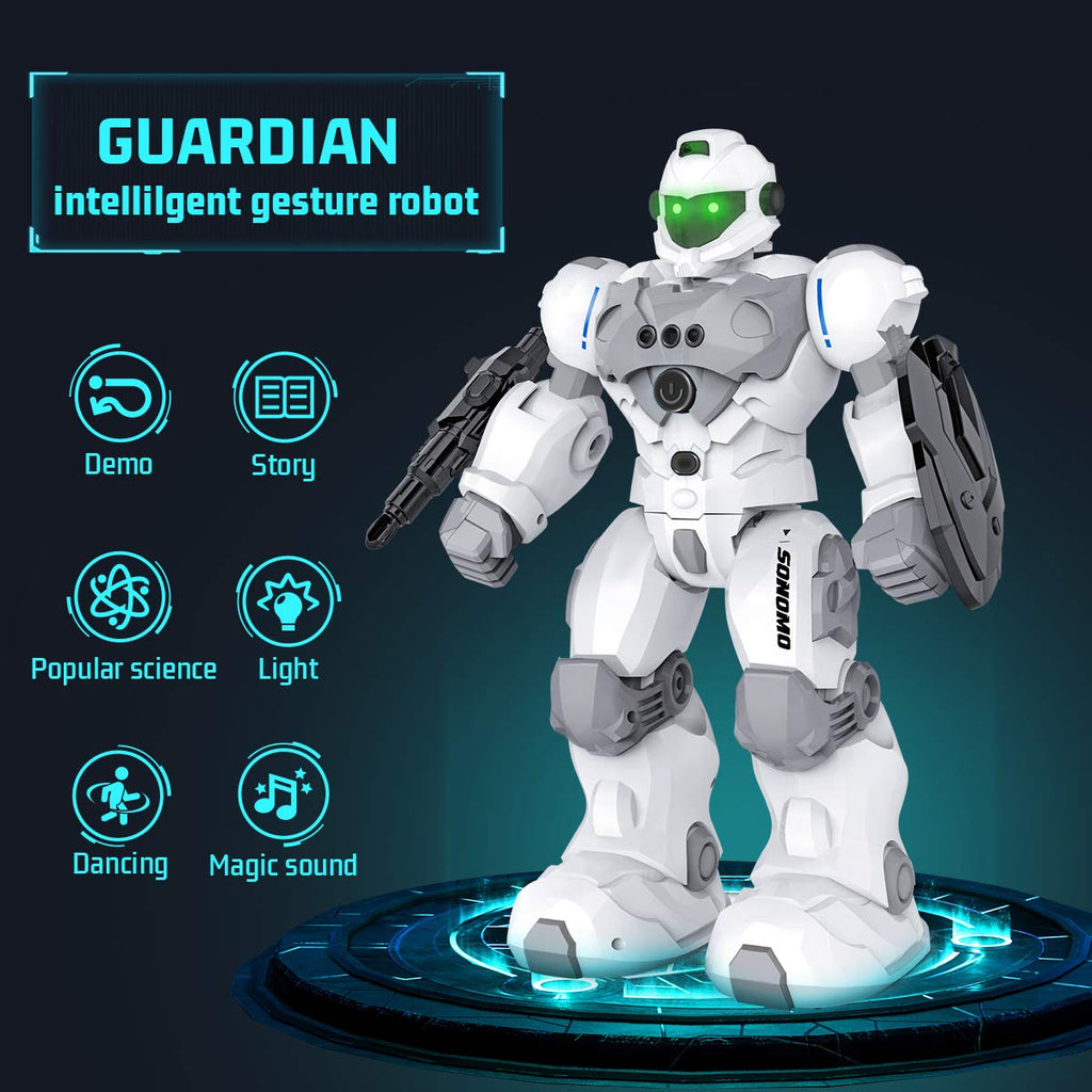 VAV Programmable RC Robot with Gesture Control & Remote