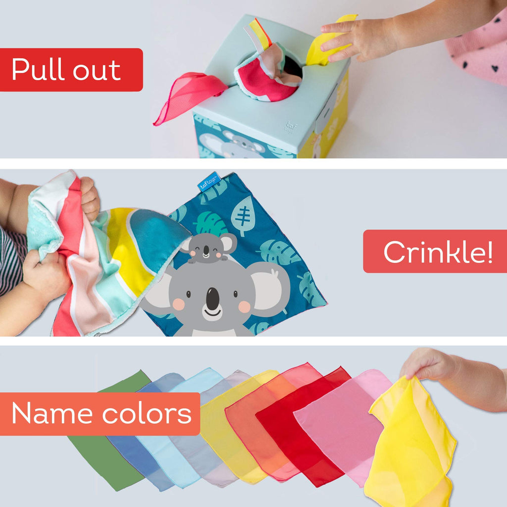 The Sensory Wonder Tissue Box