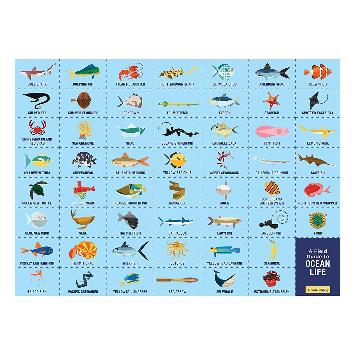 Mudpuppy Ocean Life Search & Find Puzzle, 64 Pieces