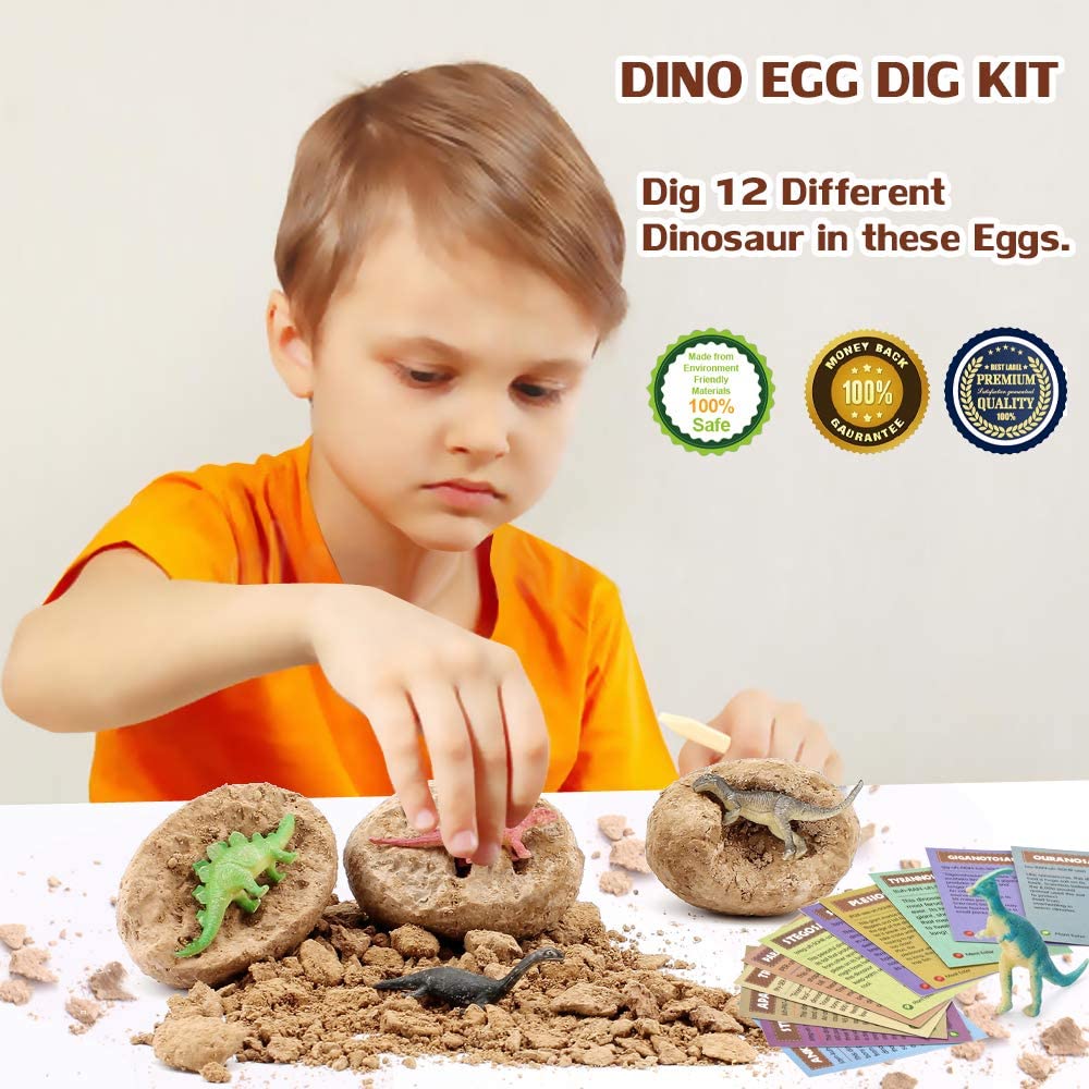 Dino Egg Excavation & Craft Kit
