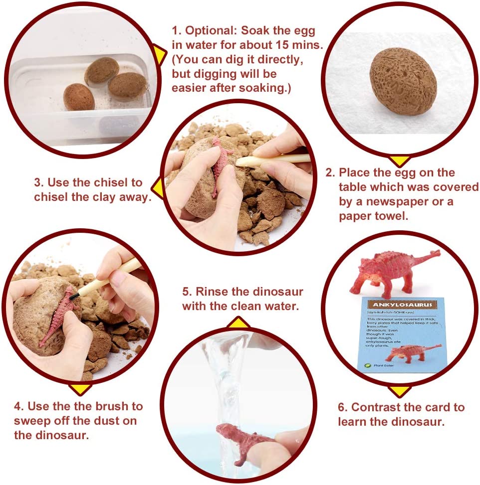 Dino Egg Excavation & Craft Kit