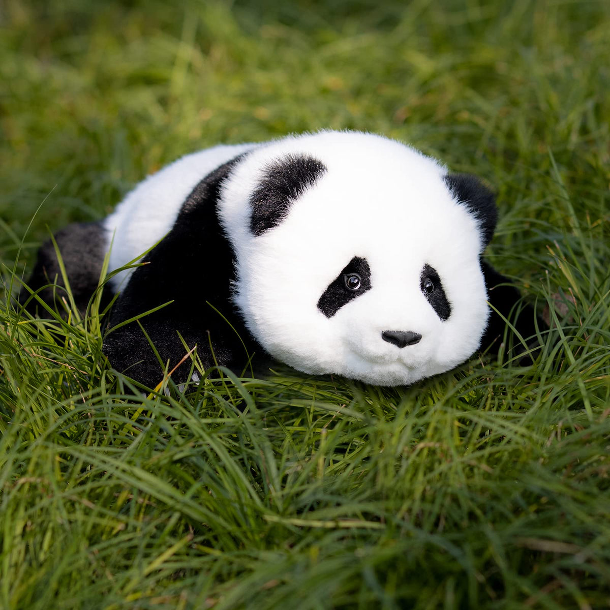 2.5lbs Red Panda ESSA Weighted Stuffed Animal – Snuggle Toy for Relaxation — product photo 15 of 16