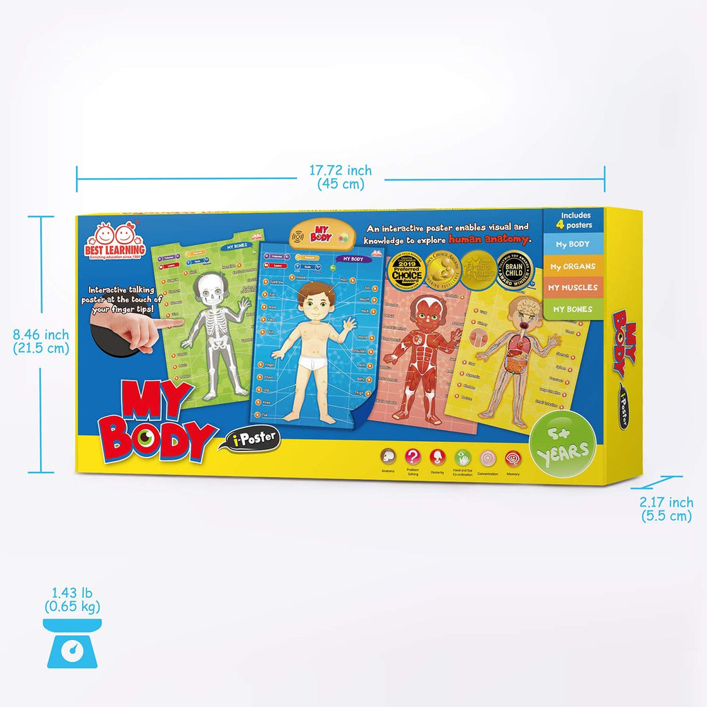 Interactive Human Anatomy Learning Poster, 4 Topics, Ages 5–12 - product photo