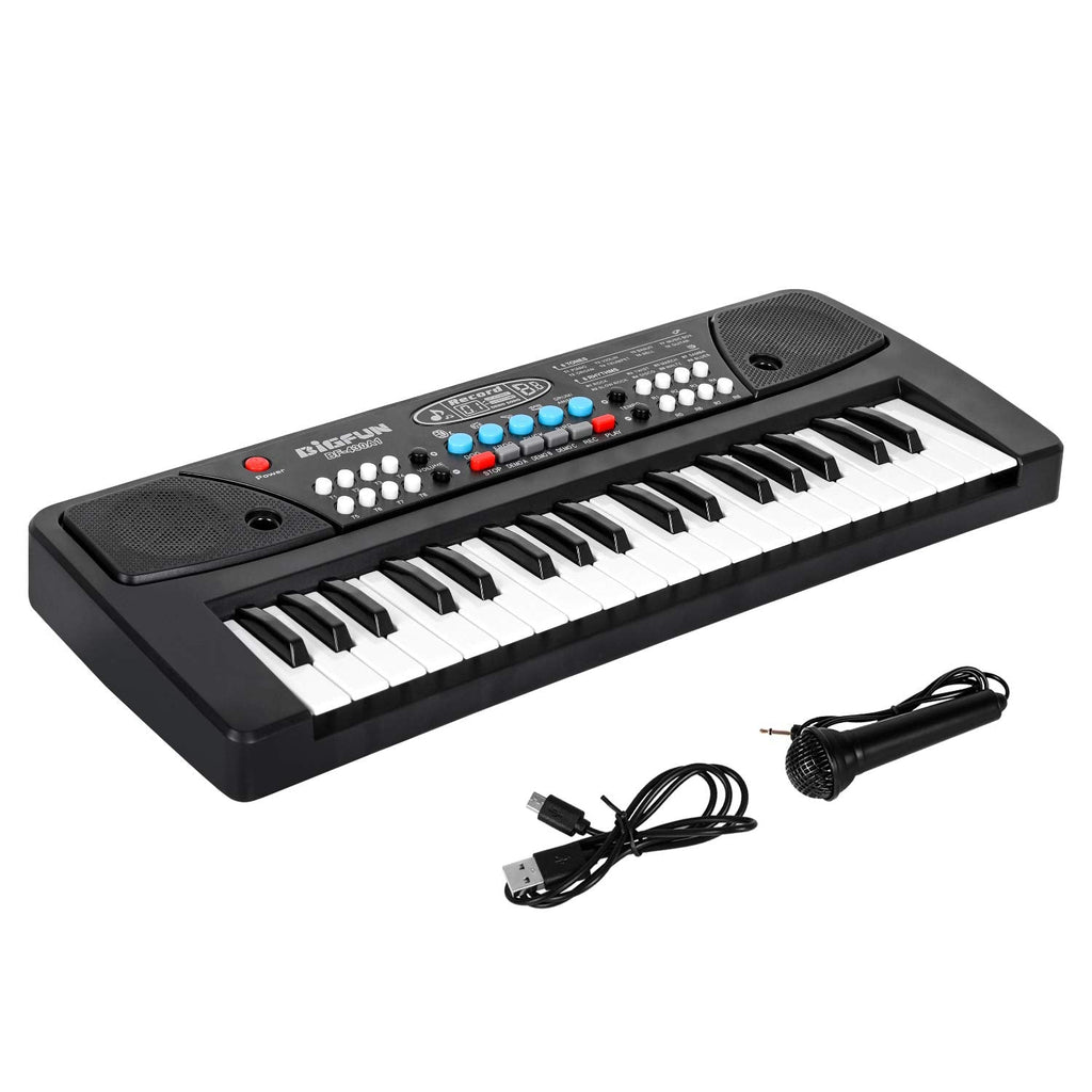 Portable Electronic Piano Keyboard