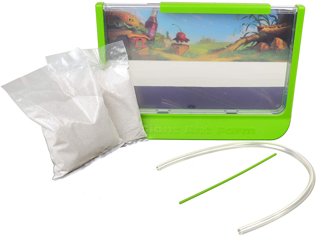 Mega Ant STEM Settlement