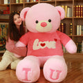 Heart Hugs Teddy Bear Cushion
