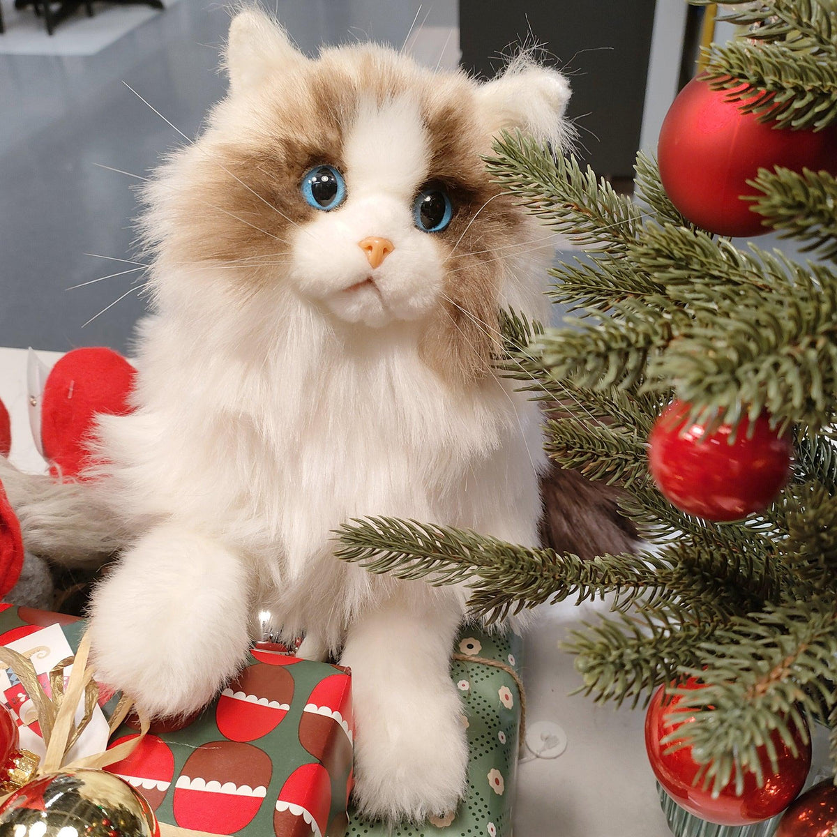 3 lb Ragdoll Weighted Plush – Weighted Cat Plush by Chongker, image 1 of 9