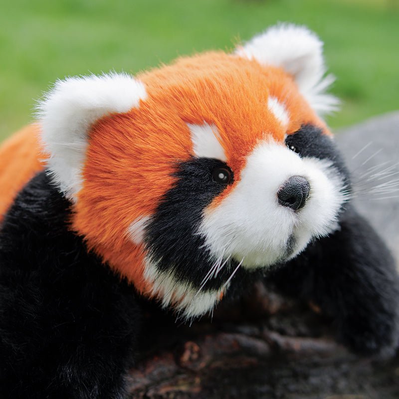 2.5lbs Red Panda ESSA Weighted Stuffed Animal – Snuggle Toy for Relaxation — product photo 7 of 16