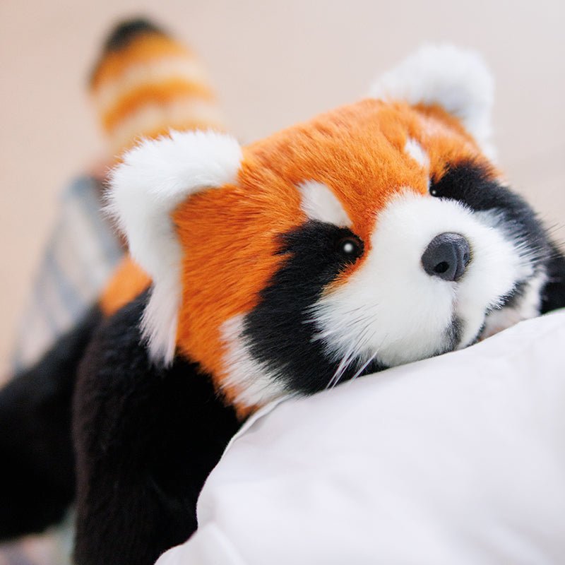 2.5lbs Red Panda ESSA Weighted Stuffed Animal – Snuggle Toy for Relaxation — product photo 2 of 16