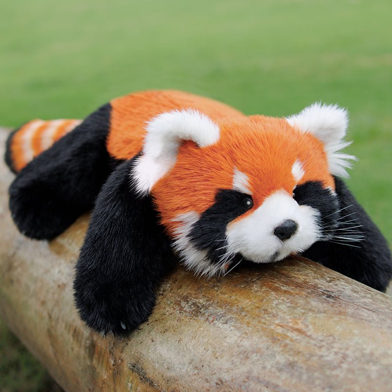 2.5lbs Red Panda ESSA Weighted Stuffed Animal – Snuggle Toy for Relaxation — product photo 6 of 16