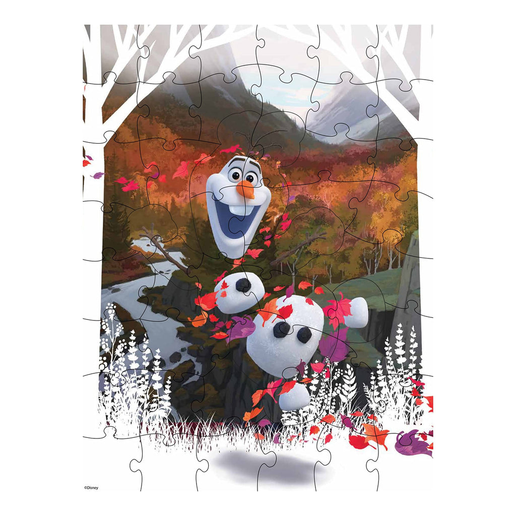 Frozen Princess Puzzle
