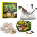Premium STEM Fossil Digging Kit