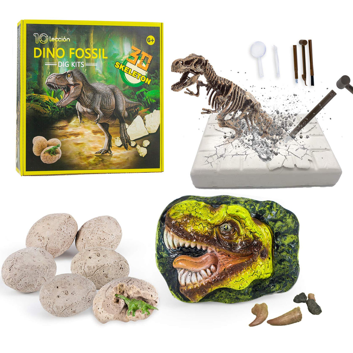 Premium STEM Fossil Digging Kit